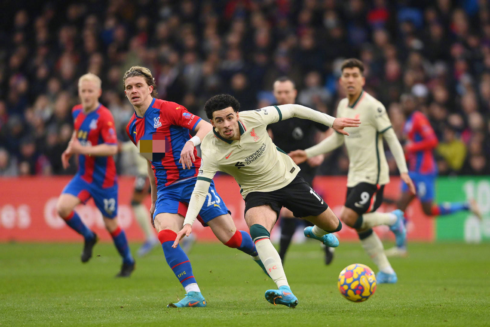 新加坡足协 新加坡足协